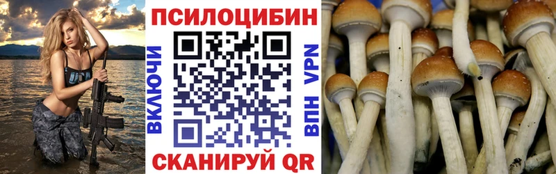 Псилоцибиновые грибы Psilocybine cubensis Окуловка